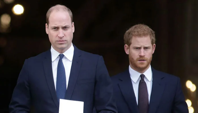 Prince William Reacts to Brother Prince Harry's UK Return