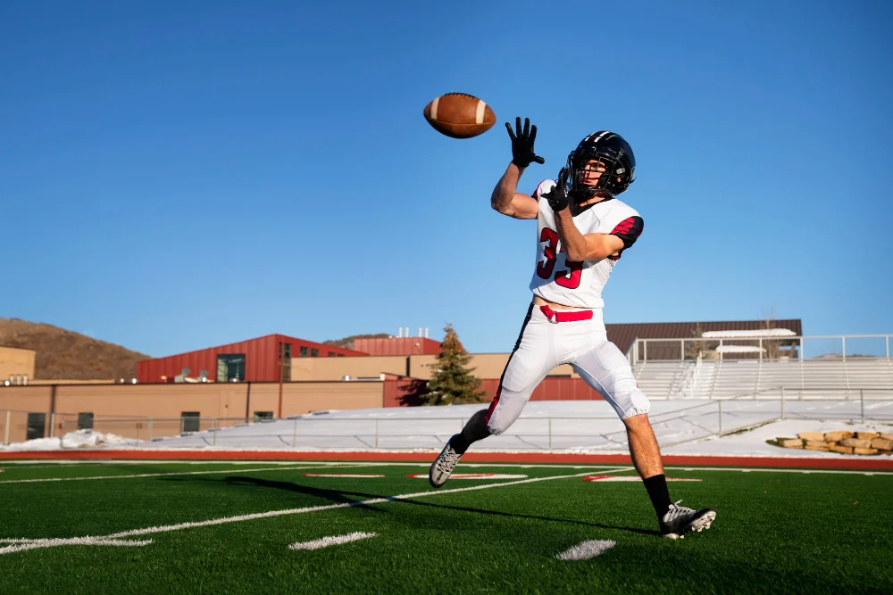 arizona cardinals vs carolina panthers match player stats