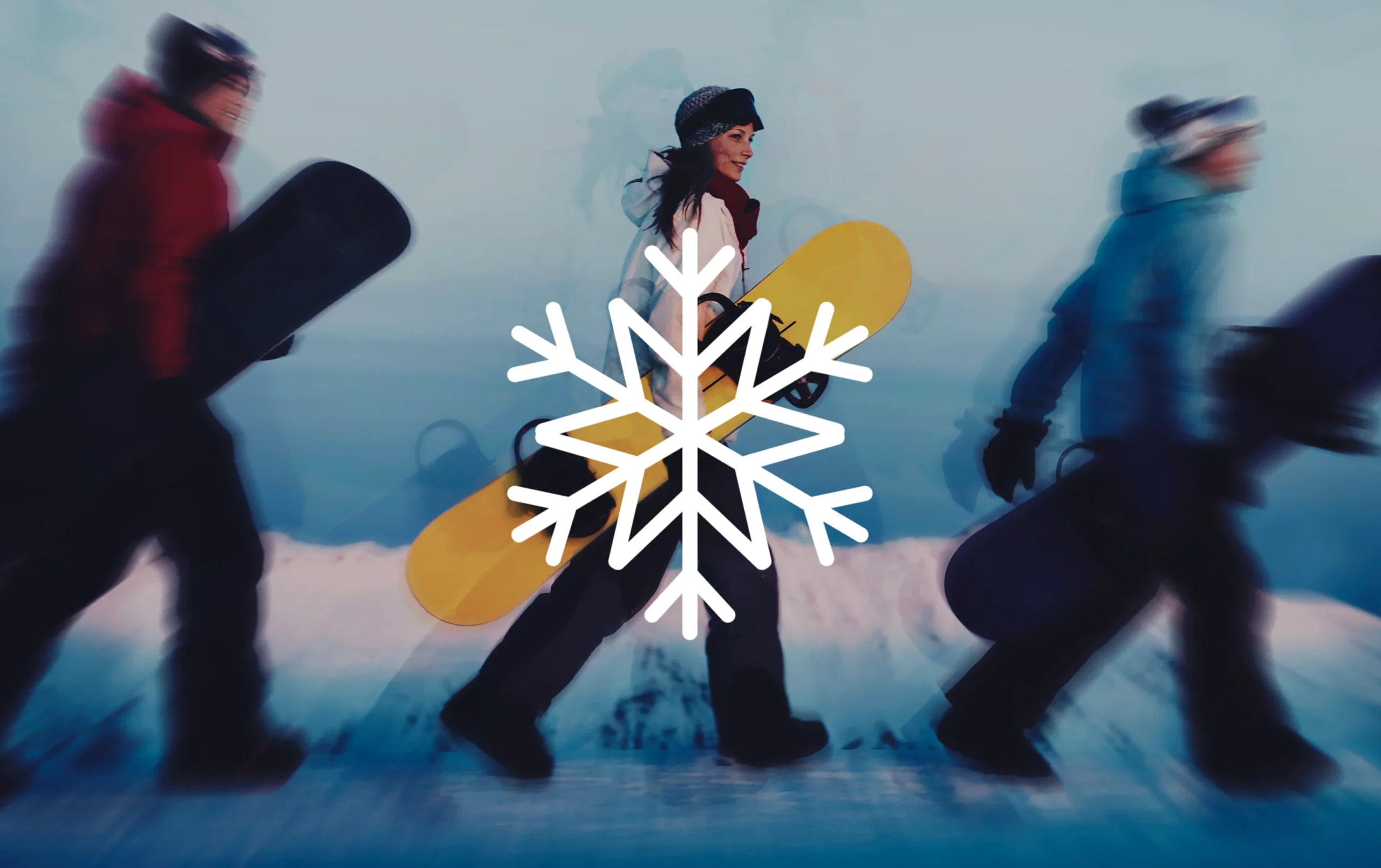 Snowflake Consulting Partner