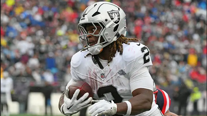 Carolina Panthers vs Las Vegas Raiders Match Player Stats