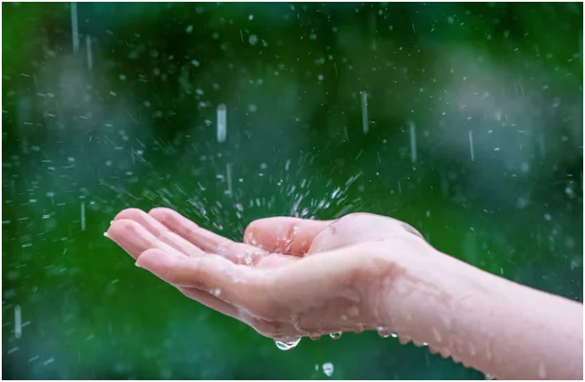 Rainwater