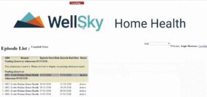 Wellsky Kinnser: A Complete Informational and Professional Guide - The