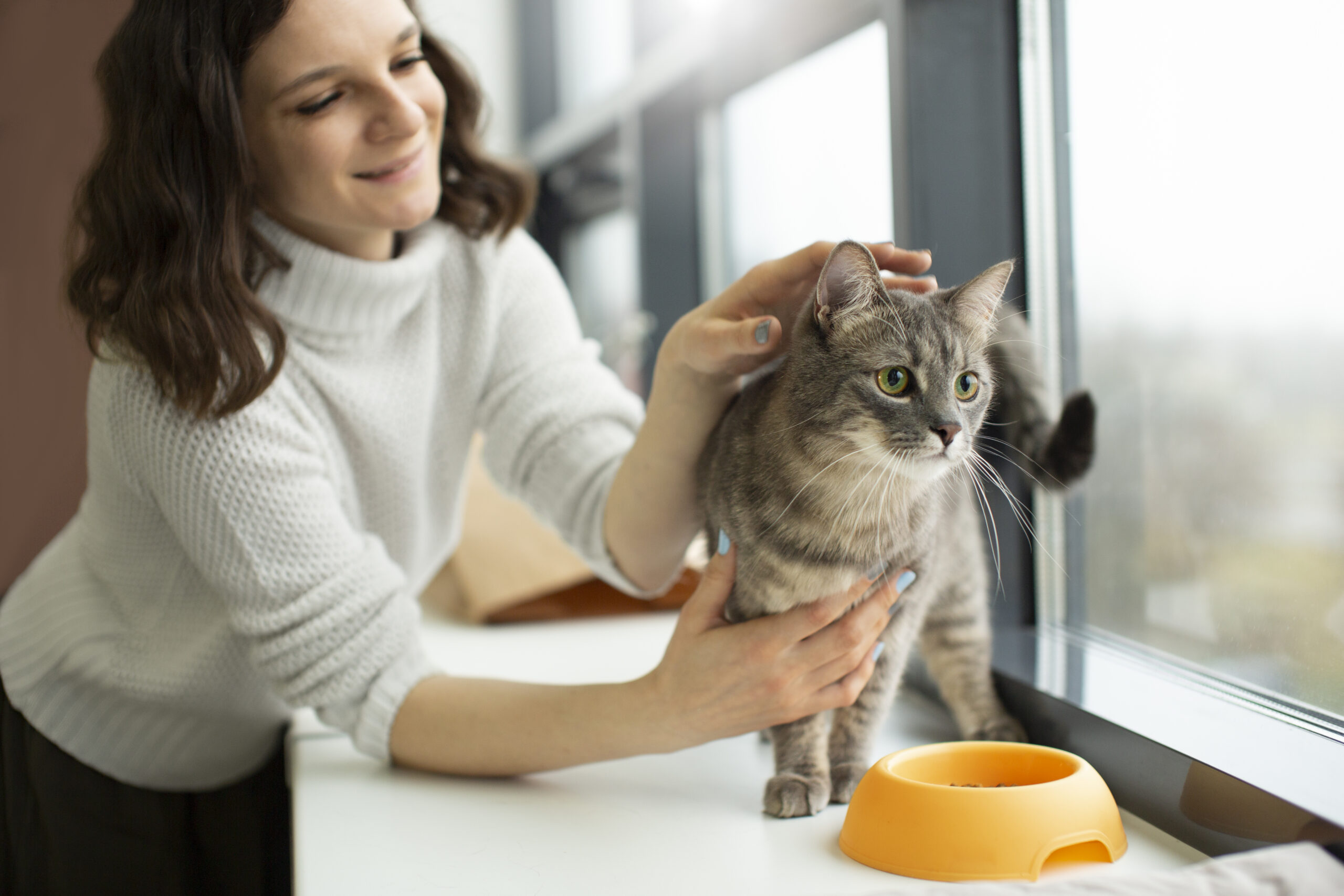 Top Recommendations to Keep Your Cat Healthy, Happy, and Entertained